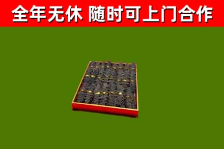 江达县回收海参
